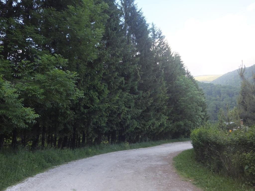 Apartament Colina Marei Sinaia Buitenkant foto